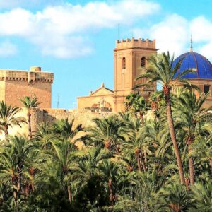 Basilica de Santa Maria in Elche with Palm Trees.