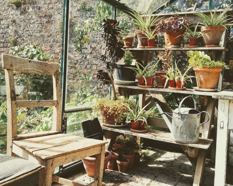 Sunny greenhouse with chair in it.