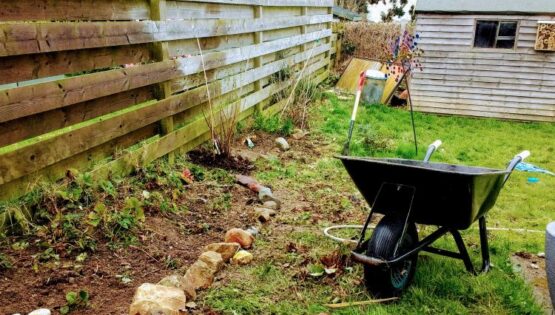 Wheelbarrow in a garden.