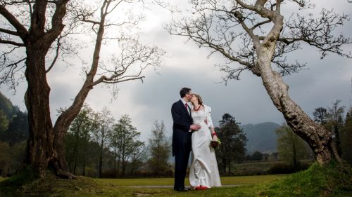 A Wedding Couple embracing underneath a tree.