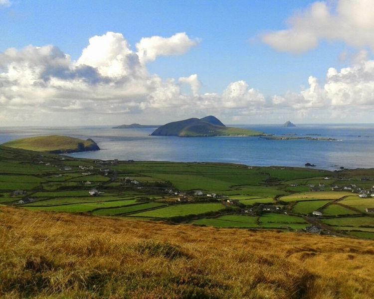 Typical Irish Scenery at Dingle Peninsula