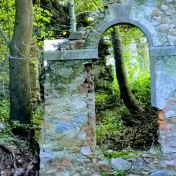 Belmont Demesne, Co. Wicklow.