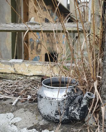 Derelict Cottage Window with teapot in Co. Galway, Ireland