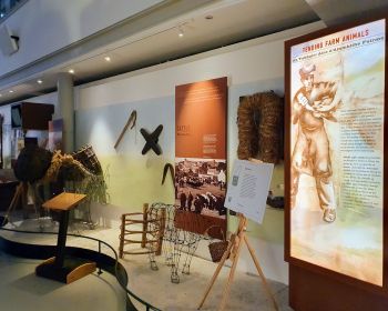 Farming Display in Irish Museum of Country Life, Castlebar.