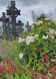 Celtic High Crosses & Roundtower with Wildflowers at Glasnevin Cemetery, Dublin.