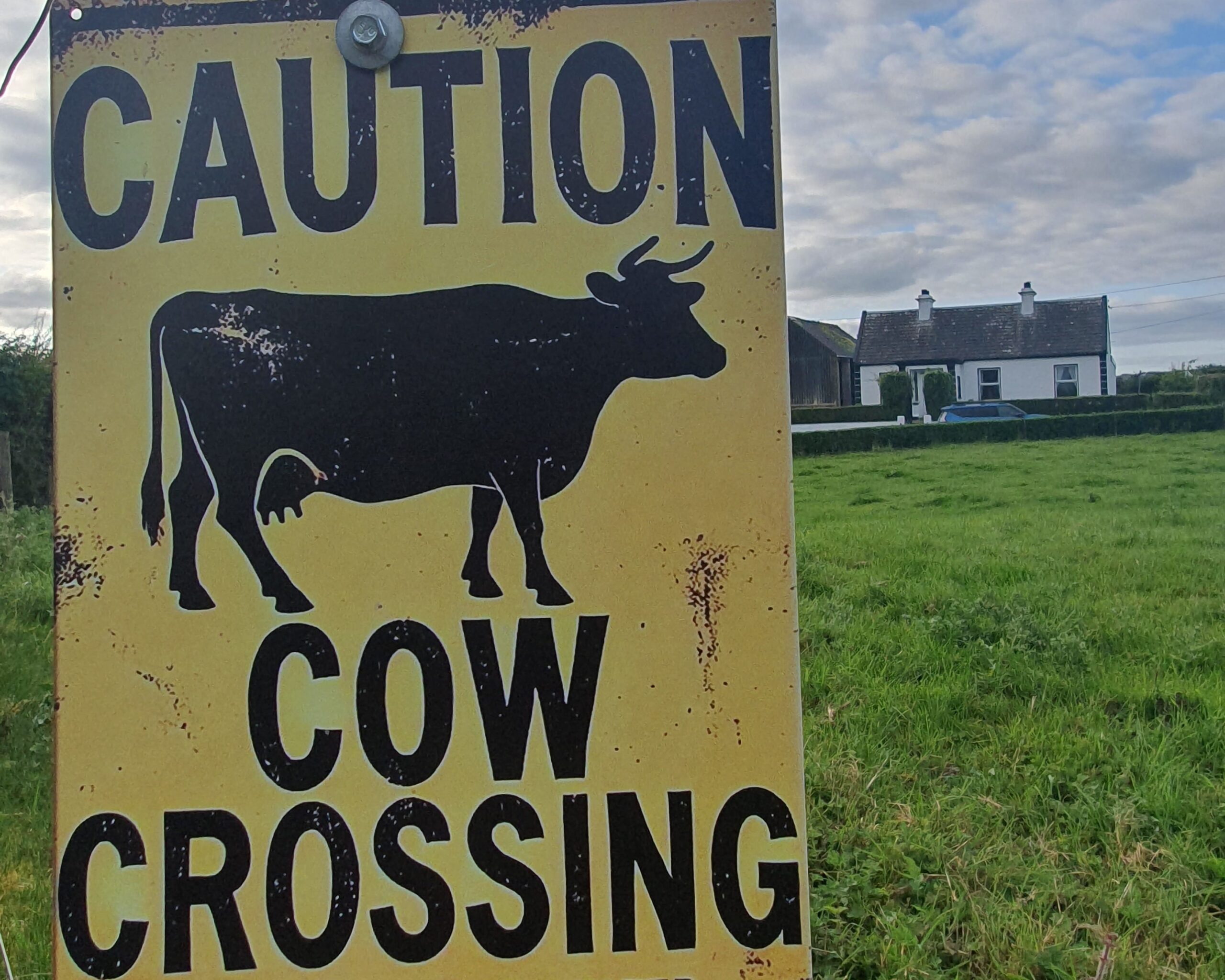 A  Whistlestop Journey through Irish Country Life
