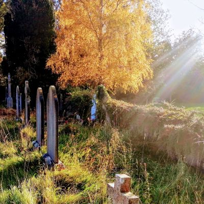 Autumn in Kilquade Cemetery, Co. Wicklow.