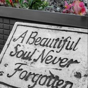 A Beautiful Soul Never Forgotten_Gravestone Inscription