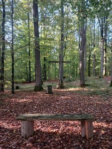 Ruheforst_Forest Burial Ground in Heldritt, Germany.